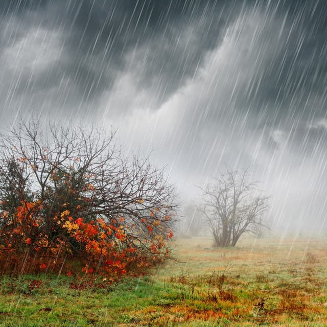Rain relax