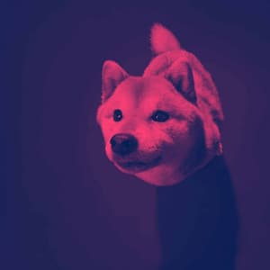 Background Music for Awesome Doggy - Dog Music