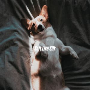 Soft Like Silk - Musica Jazz Instrumental