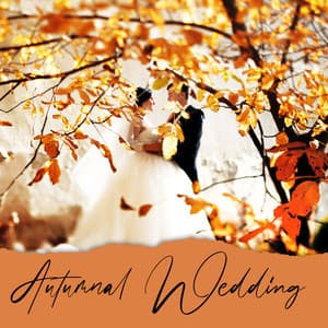 Autumnal Wedding: Slow and Soulful Jazz Ballads for Autumnal Wedding Dances - Instrumental Wedding Music Zone