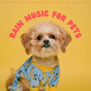 Rain Music For Pets: Soothing Rain Music Made For Animals - Relaxation Music For Dogs