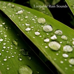 Loopable Rain Sounds - Nature Sounds