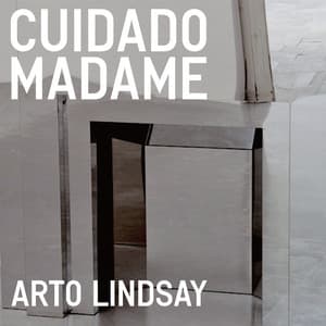 Cuidado madame - Arto Lindsay