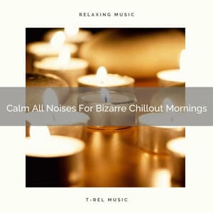 Calm All Noises For Bizarre Chillout Mornings - Granular Soundscape