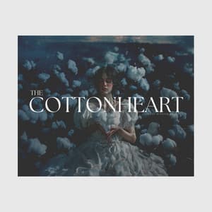 The Cottonheart - Calming Music Ensemble