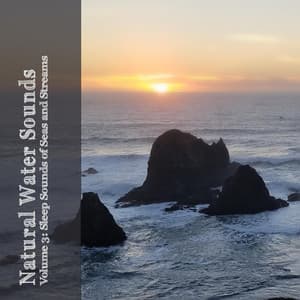 Natural Water Sounds Vol. 3: Sleep Sounds of Seas and Streams - The Relaxing Sounds of Water