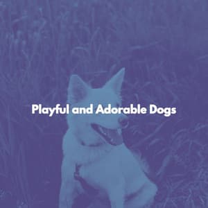 Playful and Adorable Dogs - Easy Listening Background Jazz