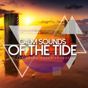 Calm Sounds of the Tide - The Ocean Waves Sounds