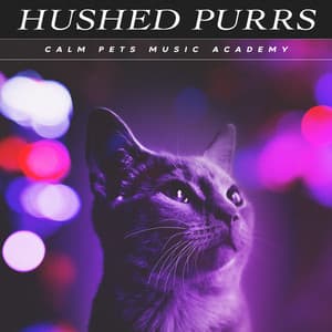 Hushed Purrs - Calm Pets Music Academy