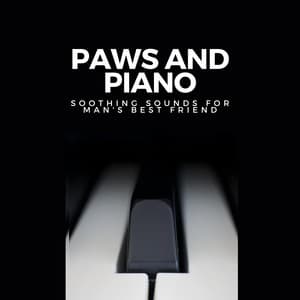 Paws and Piano: Soothing Sounds for Man's Best Friend - Relaxing Piano Music Cool