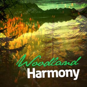 Woodland Harmony - Forest Sounds Relaxing Spa Music Singing Birds