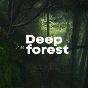 Deep In The Forest - Rainforest Sounds