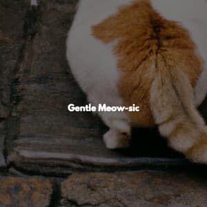 Gentle Meow-sic - New Orleans Jazz Radio