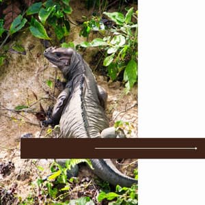 Fun - Calming Moments - Musica para Hoteles Bgm