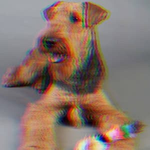 Smart Bgm for Stress Free Doggos - Puppy Music