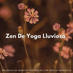 Zen De Yoga Lluvioso: Melodías De Insectos Naturales Con Música Tranquila - Lluvia en el Bosque