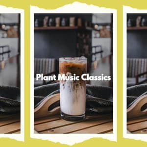 Plant Music Classics - Coffee Table Jazz
