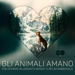 Gli animali amano: Con rumore rilassante bianco e relax ambientale, Rumore calmo per il sonno degli animali domestici, Ansia da cane, Musica per gatti - Relax ambientale musica zen club