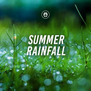 Summer Rainfall - ASMR Rain Sounds