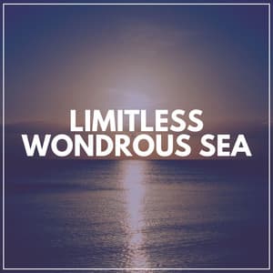 Limitless Wondrous Sea - Soul Healer