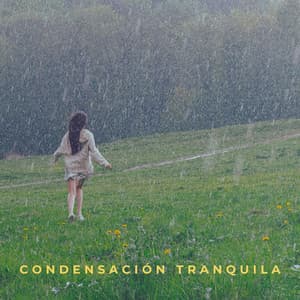 Condensación Tranquila - Lluvia y Naturaleza