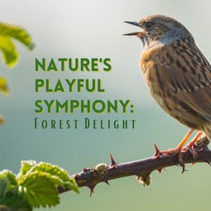 Nature's Playful Symphony: Forest Delight - Nature Therapy