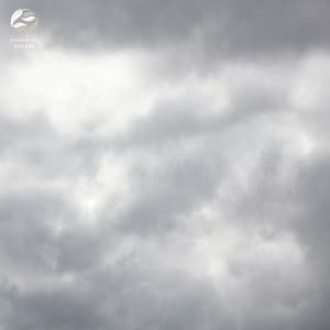 The Ambient Moods Of A Rainy Day - Tamera