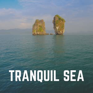 Tranquil Sea - Relaxing Ocean Sounds