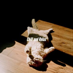 Chill and Relax - Cafe Jazz Duo