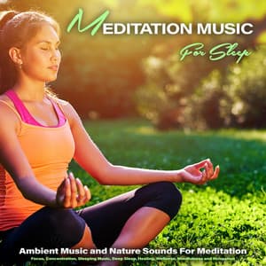 Meditation Music For Sleep: Ambient Music and Nature Sounds For Meditation, Focus, Concentration, Sleeping Music, Deep Sleep, Healing, Wellness, Mindfulness and Relaxation - Meditation Music For Sleep