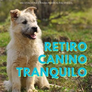 Retiro Canino Tranquilo: Meditaciones Para Perros Pacíficos - Suave por naturaleza