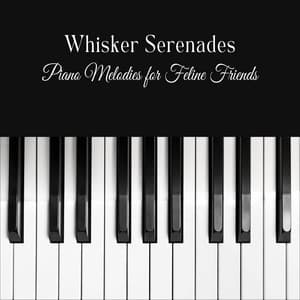 Whisker Serenades: Piano Melodies for Feline Friends - Relaxed Piano Music