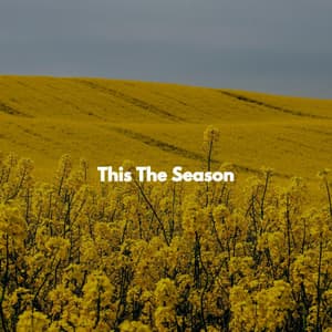 This The Season - Early Morning Chill Out Playlist