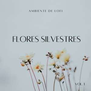 Ambiente De Lofi: Flores Silvestres Vol. 1 - Ritmos lofi