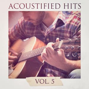 Acoustified Hits, Vol. 5 - Akustische Gitarren Musik