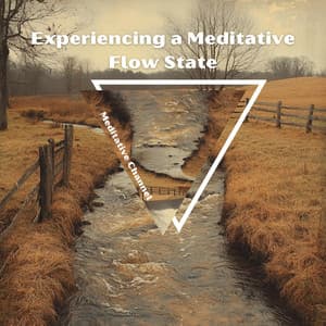 Experiencing a Meditative Flow State - Meditative Channel