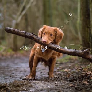 パウフェクトリー・パーキー - Bossanova Jazz