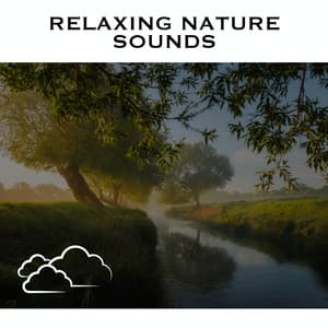 Relaxing Nature Sounds - Loopable Radiance