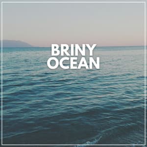 Briny Ocean - Sounds of Nature Noise