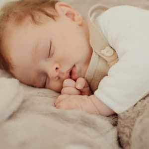 Hush-a-Bye Harmony: Dreamy Music for Babies - Teddy Tiger Tunes