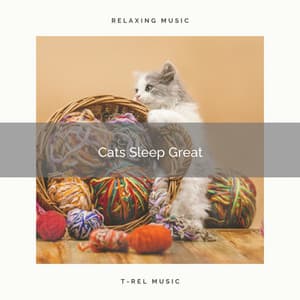 Cats Sleep Great - Biblioteca de Música Para Mascotas
