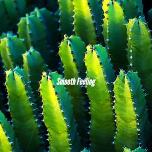 Smooth Feeling - Hotel Lobby Music