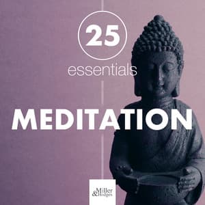 25 Essential Songs for Meditation, Yoga, Relaxation Exercises - Relaxing Music Therapy