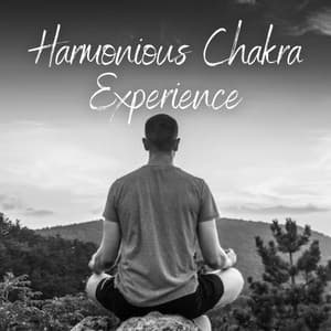 Harmonious Chakra Experience - Meditation Music