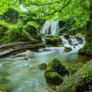 Meditative Waterscapes: Tranquil Chorale of the River's Flow - Lullabies for Deep Meditation
