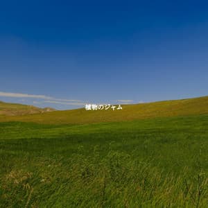 植物のジャム - Lazy Sunday Jazz