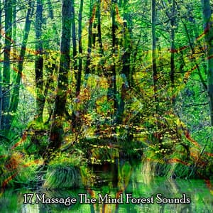 17 Massage The Mind Forest Sounds - Nature Sounds - Sons de la nature