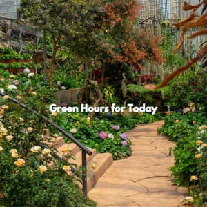 Green Hours for Today - Jazz Playlist Cafe