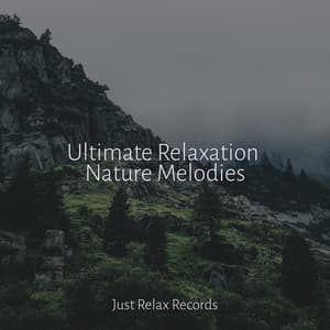 Ultimate Relaxation Nature Melodies - Musica para Meditar