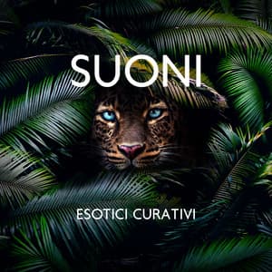 Suoni esotici curativi: Terapia di rilassamento con musica per meditare - Rilassamento Mentale